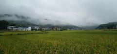 “梅雨季”看輕鋼別墅如何抵御南方的霉雨天?會(huì)生銹?不可能!